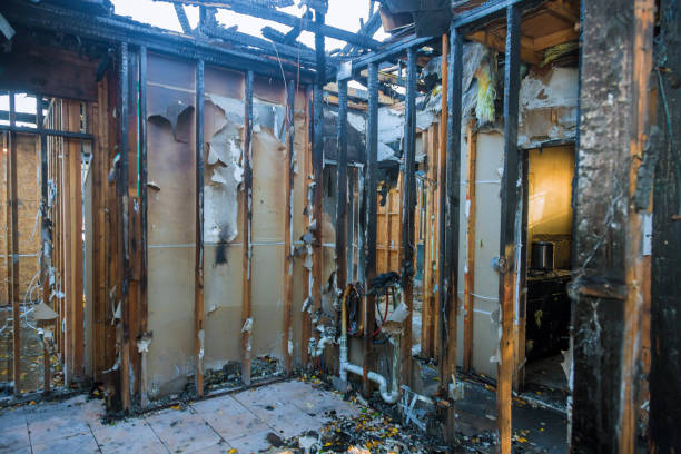 Professional Fire Damage Removal technician working in Spencerville, OH